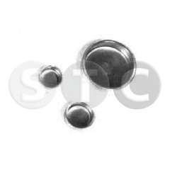 Eisstecker