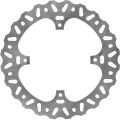 Bremsscheibe (Motorrad)