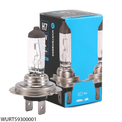 H7 12V 55W STD.Glühbirne