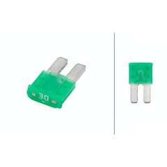 Sicherung 30A Micro2