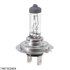 H7 12V 55W BASIC-Glühlampe