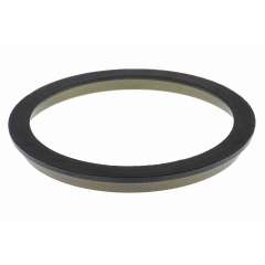 ABS-Ring