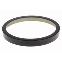 ABS-Ring