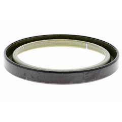 ABS-Ring
