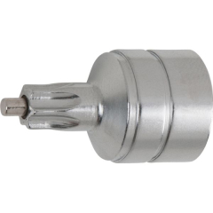TORX-Bit-Einsatz 3/8" T45