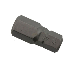 BIT 10mm Imbus 12