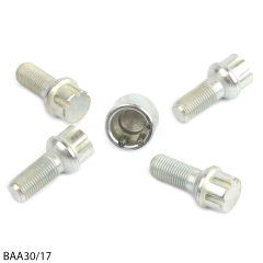 Radschutz