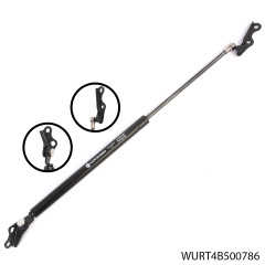 Türdrücker