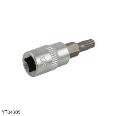 Bit-Kopf 1/4" T25