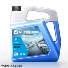 Winter-Scheibenwaschanlage, Ozean, 4L