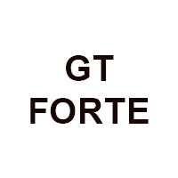 GT FORTE-MOTO