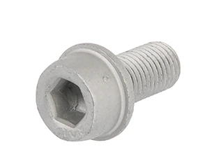 Bremssattelschraube