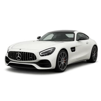 AMG GT (X290)