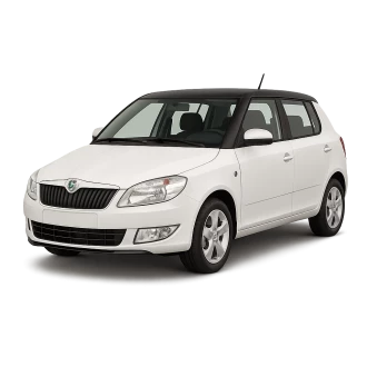 FABIA II (542)