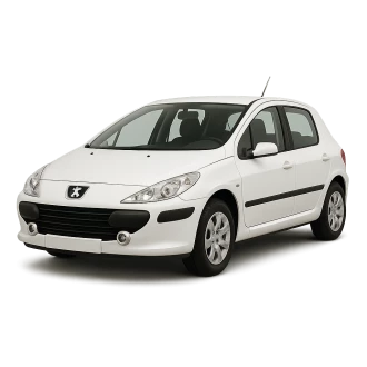307 (3A/C)