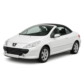 307 CC (3B)