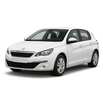308 Hatchback Van (LB_)