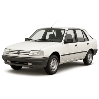 309 Hatchback Van (10S, 3S)