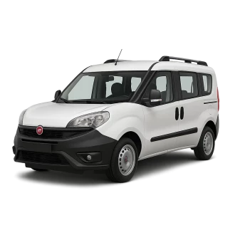 DOBLO Cargo (263_)