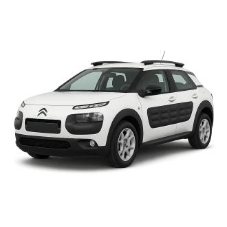 C4 CACTUS