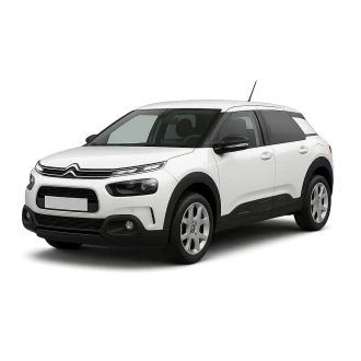 C4 CACTUS Van (0B_, 0P_)