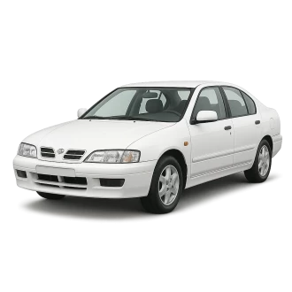 PRIMERA (P11)
