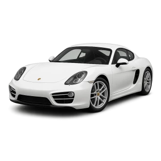 CAYMAN (981)
