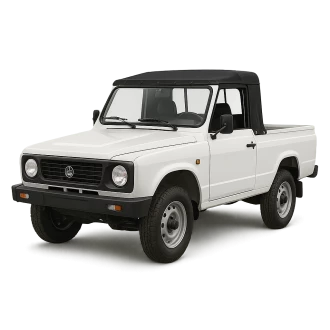 10 Pickup