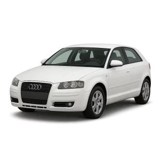 A3 (8P1)